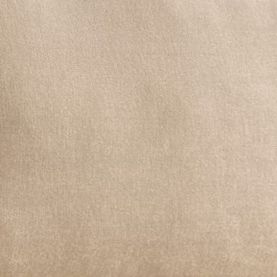 Rustic Beige